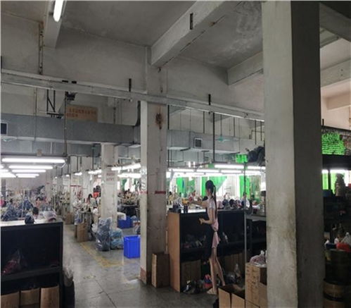 福州市培訓學校房屋安全鑒定住建局認可單位 新聞聯播